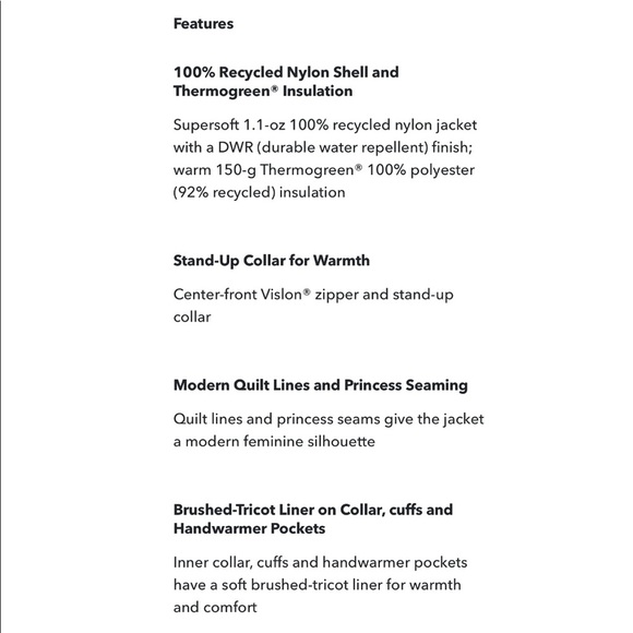 Patagonia Radalie Water Repellent Insulated Parka - Picture 13 of 16